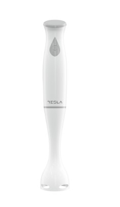 TESLA HB100WG Štapni mikser — prednji prikaz